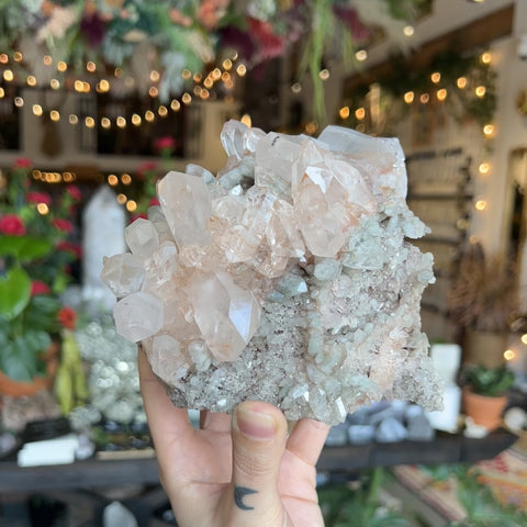 Himalayan Quartz "Erin"