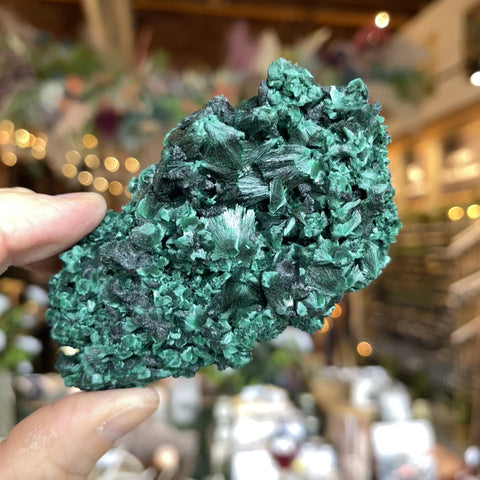 Fibrous Malachite "Mary"