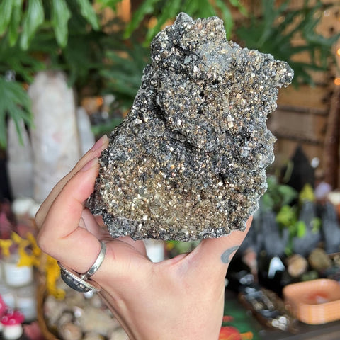 Pyrite | Galena "Juliette"