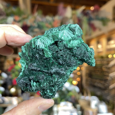 Fibrous Malachite "Nicky"