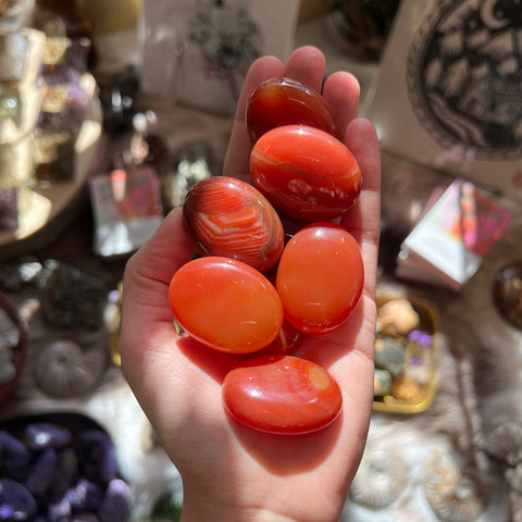 Ravenstone Crystals Little Carnelian Palm Stone