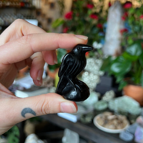 Ravenstone Crystals Obsidian Raven