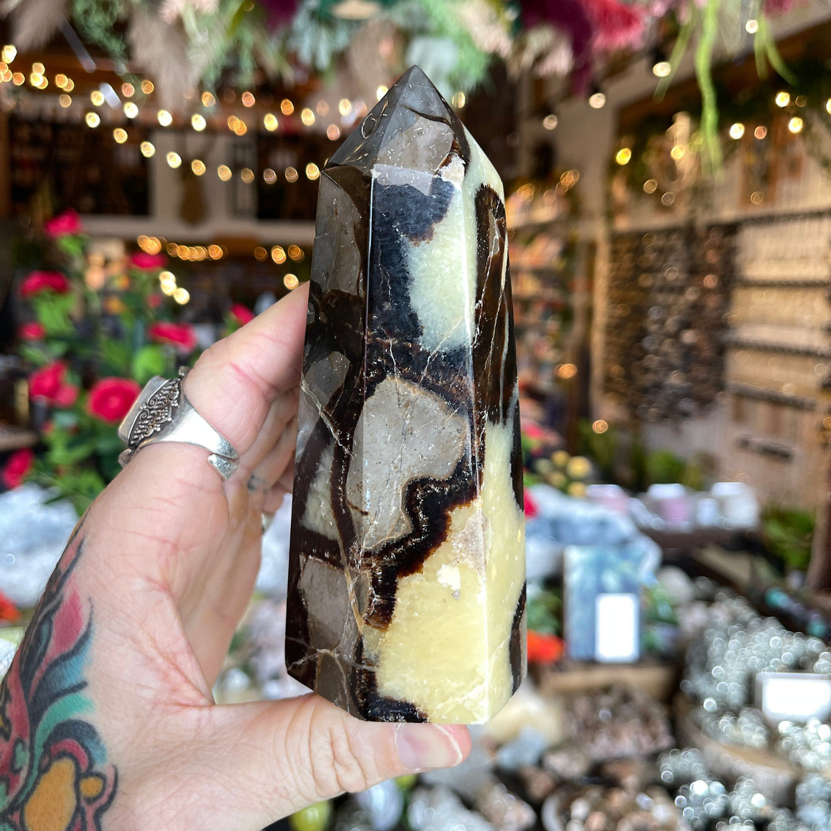 Ravenstone Crystals Septarian Stone &quot;Adrian&quot;