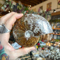 Ravenstone Crystals Ammonite "Anne"