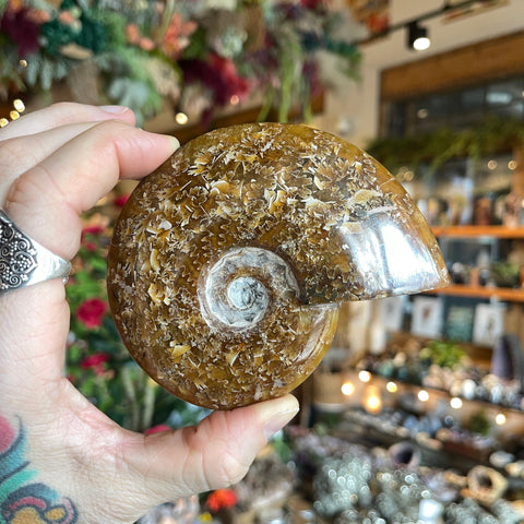 Ravenstone Crystals Ammonite "Patrice"