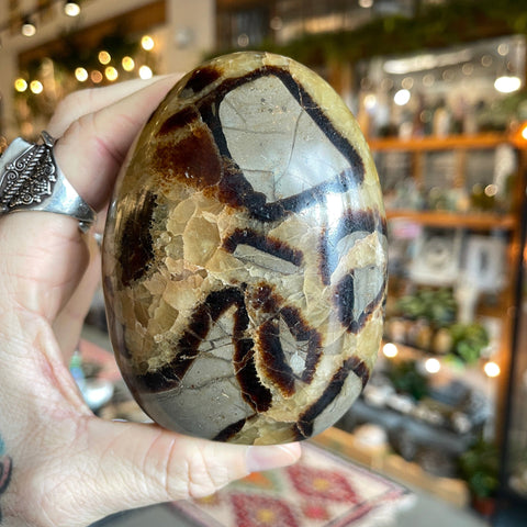 Ravenstone Crystals Septarian Stone "Keegan"