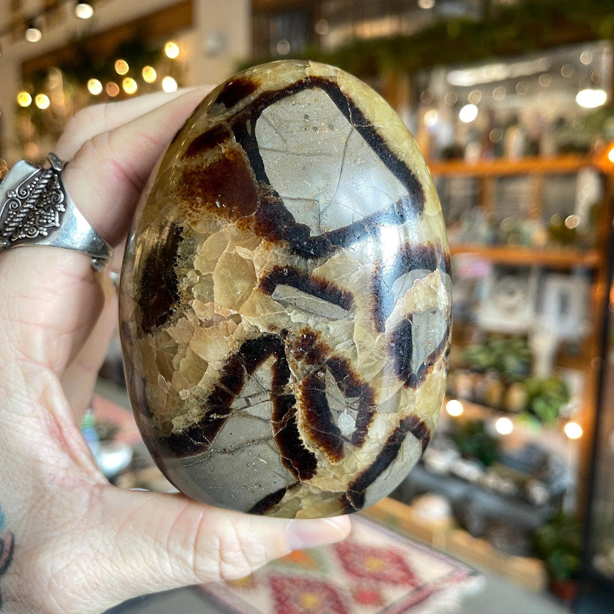 Ravenstone Crystals Septarian Stone &quot;Keegan&quot;