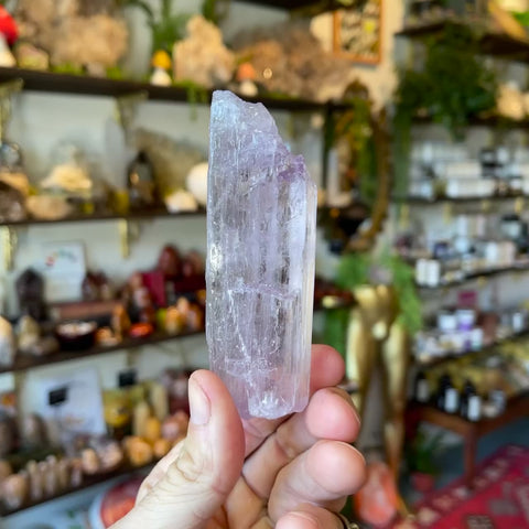 Kunzite "Maria"