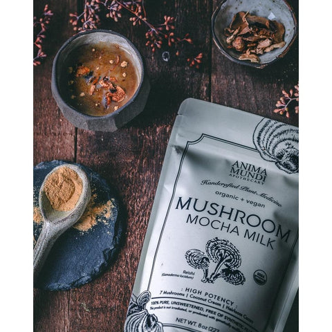 Anima Mundi Apothecary Mushroom Mocha Milk