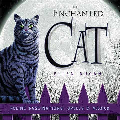 Llewellyn The Enchanted Cat