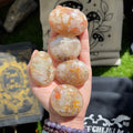 Ravenstone Crystals Flower Agate Palm Stone