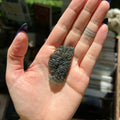 Ravenstone Crystals Moldavite "Brittany"